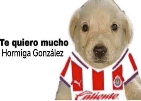OaksitoVT's tweet photo. @whosbigq @Chivas pos entendi que mis mutis, son chivahermanas y chivahermanitos, que soy stan de Chivas y que mi bias es Hormigol y mi Bias Wrecker es Pistaches en salsa verde, espero mi photocard https://t.co/qcdY3vPlsG