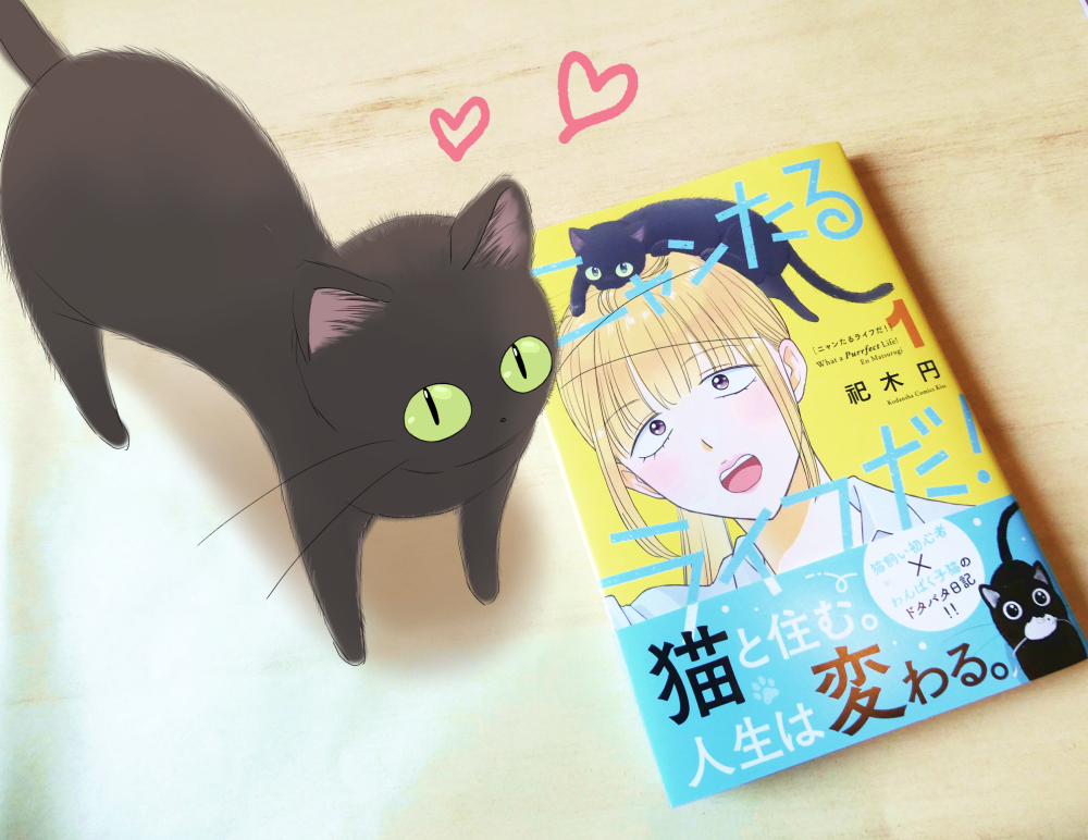 2en_matu's tweet photo. 献本が届きましたよ～✨✨✨
カバー、帯、かわいく作っていただきました！
7月13日（月）発売です🐈💕
#ニャンたるライフだ！ https://t.co/pHxy7x48vj