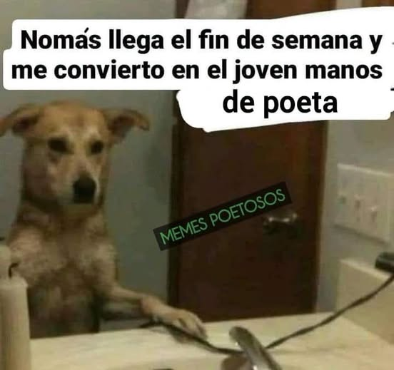 _Pacam's tweet photo. ¡Jóvenes manos de poeta, los esperamos este fin de semana en el estand 140 de @CazamAh en #Filgua, Fórum Majadas! https://t.co/jhNNKLFEDG