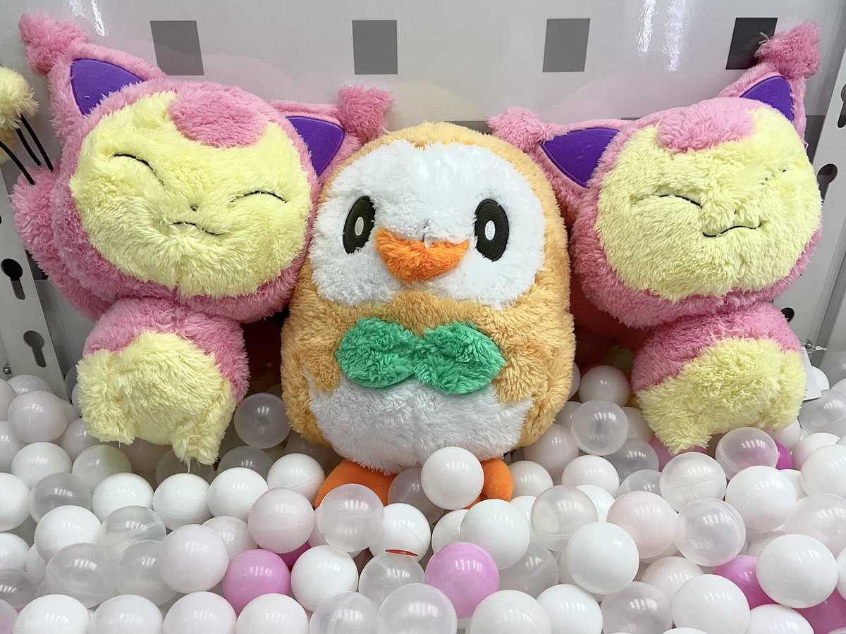 adores_kashiwa's tweet photo. 大人気⭐️ポケットモンスター 

もふぐっと ほっこりいやされぬいぐるみ
～ エネコ  モクロー ～が登場中です🎀🤍

#アドアーズ #楽しいヨリミチを

#ポケモン #Pokemon #ポケットモンスター https://t.co/QUWh1CeRZl