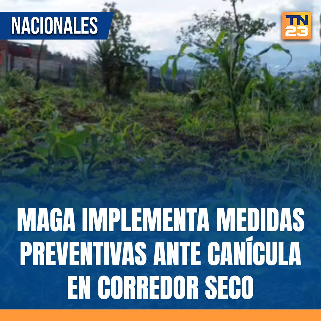 TN23NOTICIAS's tweet photo. #MAGA #implementa #medidas #preventivas ante #canícula en #CorredorSeco ➡️ https://t.co/3gmTYwnFjG https://t.co/n72Yfrm1Iu