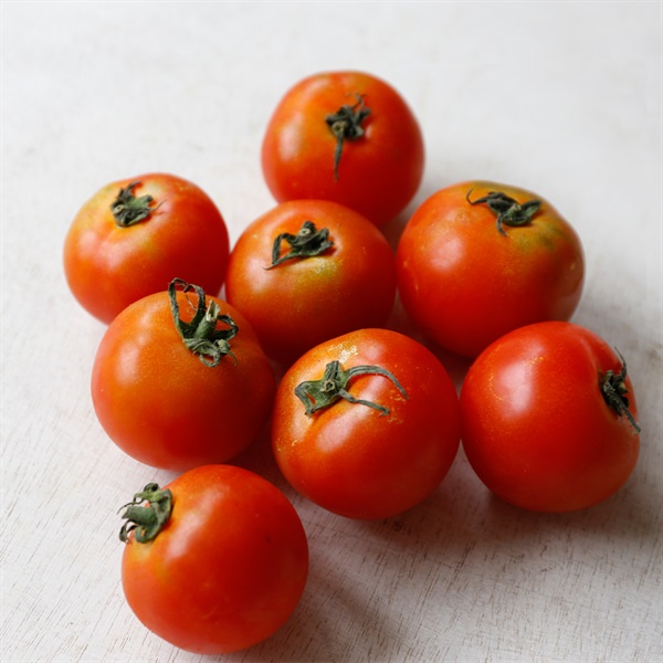 nh__harmony's tweet photo. 【🍅夏野菜がぞくぞく入荷しています！🥒】

太陽をたっぷり浴びて育った、
旬の夏野菜が並び始めました✨

みずみずしいトマト、旨みたっぷりのズッキーニ、
シャキッと食感のきゅうり、香り豊かな枝豆など
この時期ならではのおいしさが勢ぞろい😊

旬の野菜は、シンプルに食べるだけでも
素材の味をしっかり楽しめるのが魅力です🍽️

サラダやグリル、炒め物など、
お好みの調理で季節の味わいを満喫してくださいね♪

＼オンラインストアでご購入いただけます／

【自然栽培】サンズファーム 中玉トマト 400g
https://t.co/vfNH9NYuLg

【自然栽培】田神俊一さん ズッキーニ 1本
https://t.co/Jje0bo2EM9

【自然栽培】田神俊一さん きゅうり 200g
https://t.co/xwIalCsND6

【自然栽培】サンズファーム 枝豆 150g
https://t.co/Gp6uonhfYi