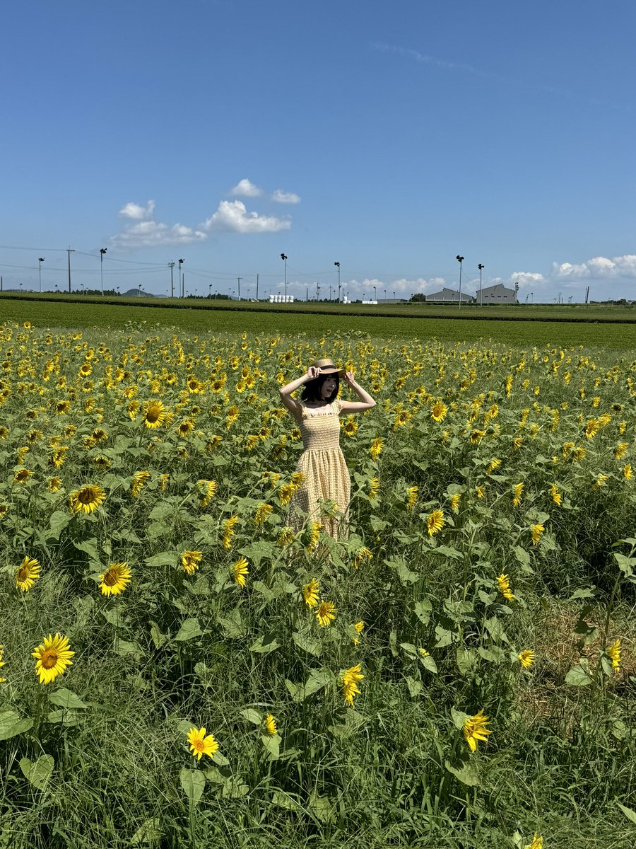 SeeksmileP's tweet photo. 2年前ここでのえちゃん@mitanoe_tan 撮影会したな😍🤩
あの時はめっちゃ暑かった
まだまだ今からが咲きピークかもですね！！ https://t.co/NHlMlASNnr