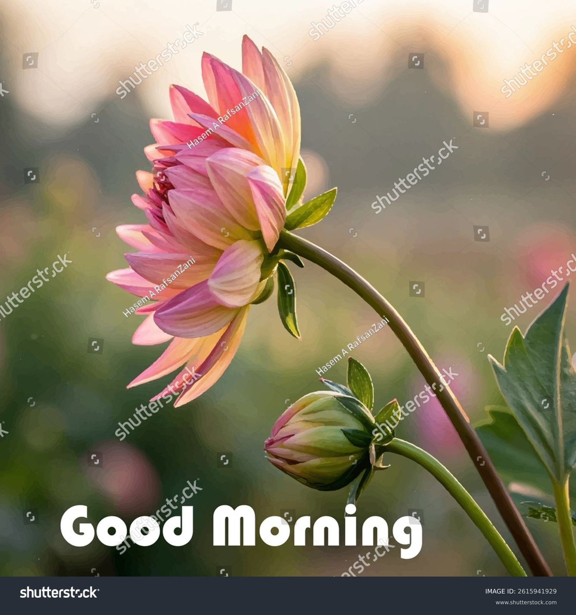 Adhama Ibrahim tweet media