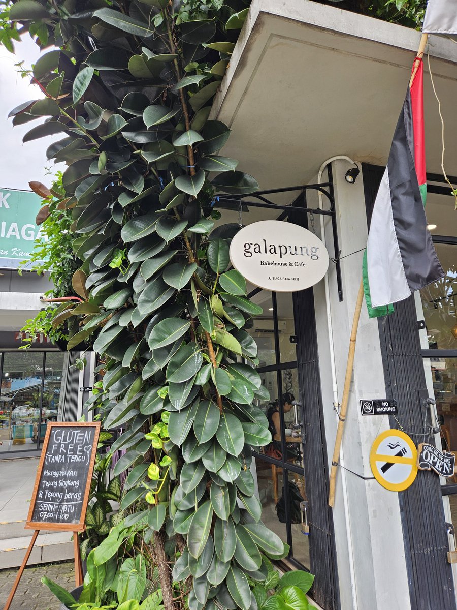 lemongraziee's tweet photo. Menemukan hidden gem cafe sekitar daerah Jakarta Selatan (Pasar Minggu). Definisi makan  tiramisu tanpa rasa bersalah, so gewdddd 🥹😆 Gluten free semua makanan disiniii!!

Tempatnya cukup kecil, cozy, dan anabul GENDUTTTT BGTTT aaak (info penting)

📍Galapung Bakehouse &amp; Cafe https://t.co/sW0UFFpP2F