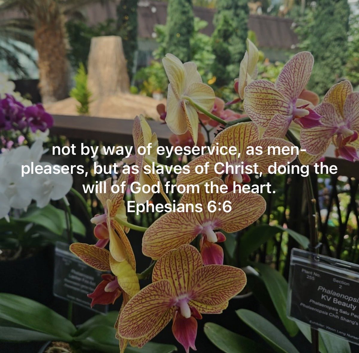 CheeboonWong's tweet photo. Best test for Christianity. Am I doing God’s will from the heart? #raylifeboon #discipleship https://t.co/Glvq1HOb2o