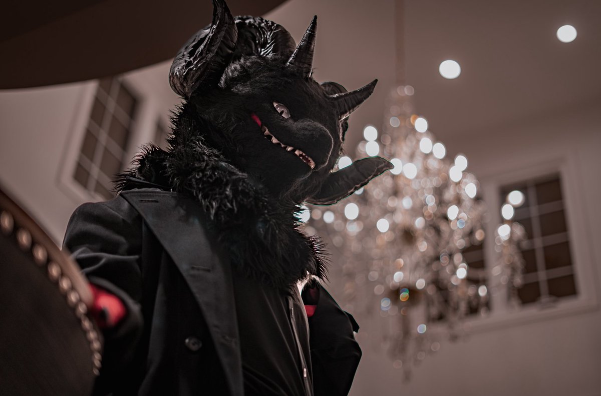 imbuzzedd's tweet photo. ✴︎

📷@LycaonRider https://t.co/mgHH9G4WrA