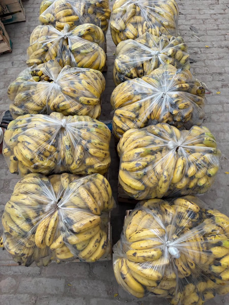 kissan_pakistan's tweet photo. 🍌 آم نے کیلے کی مارکیٹ ہلا کر رکھ دی😱
چند دن پہلے 1500–1600 روپے میں بکنے والی کیلے کی پیٹی آج صرف 900–1000 روپے تک آ گئی۔
منڈی والوں کے مطابق اس کی سب سے بڑی وجہ آم کی بھرمار ہے۔ خریدار زیادہ آم خرید رہے ہیں، جس سے کیلے کی مانگ کم ہو گئی۔
آپ کے خیال میں کیلے کا ریٹ مزید گرے گا یا اب سنبھل جائے گا؟