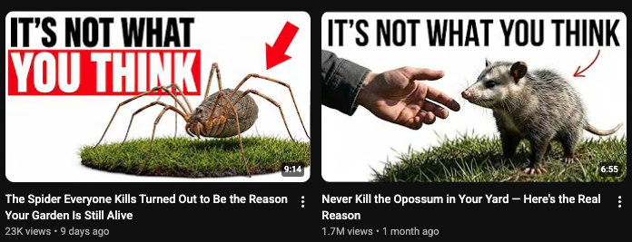 tubegenai's tweet photo. One video went viral, the other didn't. 

How is this possible? https://t.co/OwM3R0apIg