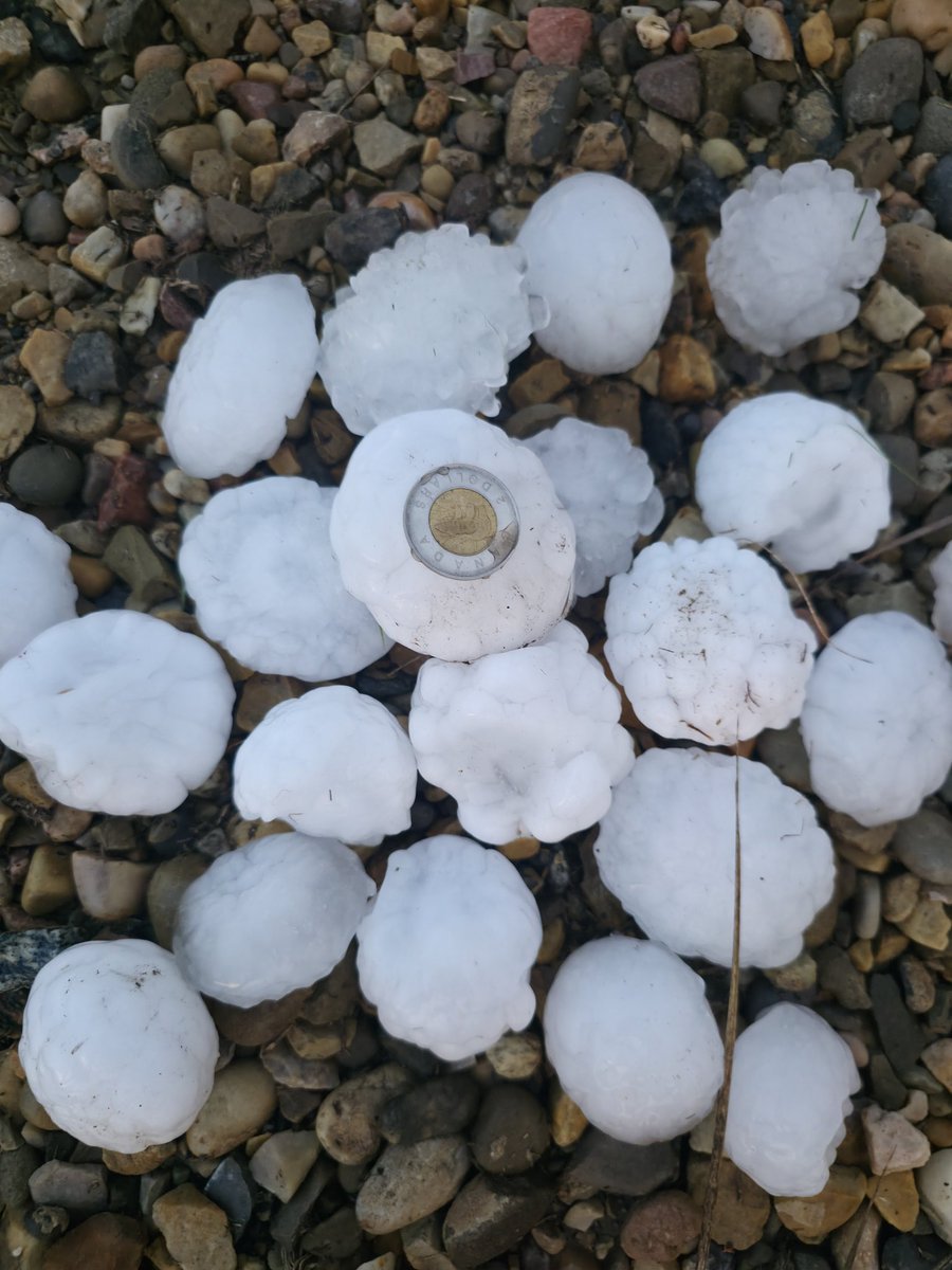 Stephanydawn15's tweet photo. Tonight I tried out a little bit of amateur storm chasing on my way home. I drove to the outer edge of the storm, waited for hail, then backed off until it passed. This was taken NE of Strathmore at Rge Rd 243 and Twp Rd 244. Kinda wish I had measuring tape. #abstorm https://t.co/fEqoY7g9yu