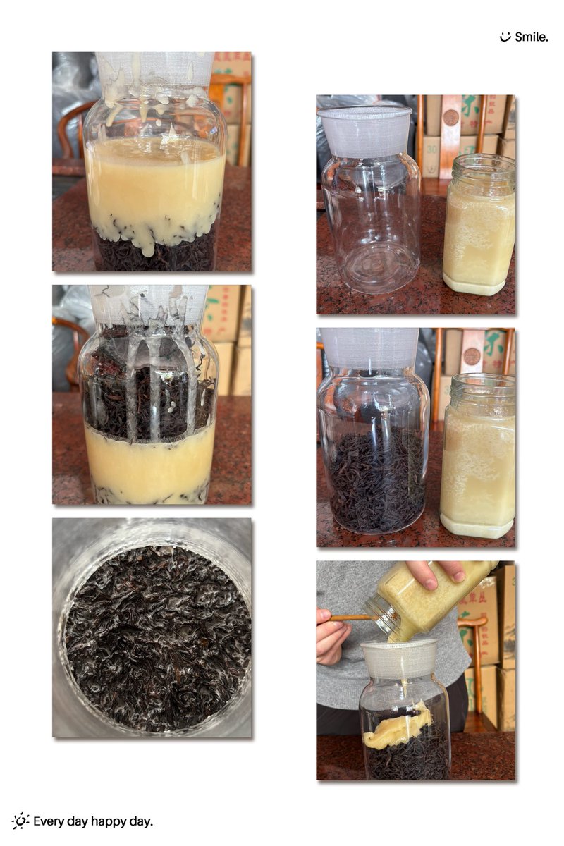 ydgd06728822's tweet photo. 潮州凤凰蜂蜜苦茶的做法
 
一、原料
（1）单丛苦种茶，茶叶干燥
（2）冬蜜，冬蜜具有不易发酵变质的优点
（3）容器，无油无水密封玻璃瓶
 
二、做法
（1）玻璃瓶热水烫洗，晾干，内壁不能残留水或油。
（2）罐子底部先铺满一层蜂蜜，再铺上茶叶，再淋蜂蜜，完全没过茶叶，反复操作 https://t.co/LtvVb3KdiO