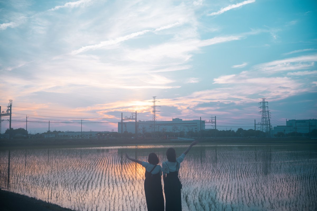 sako_photo's tweet photo. snaps🌻 https://t.co/scRr9lb5zJ