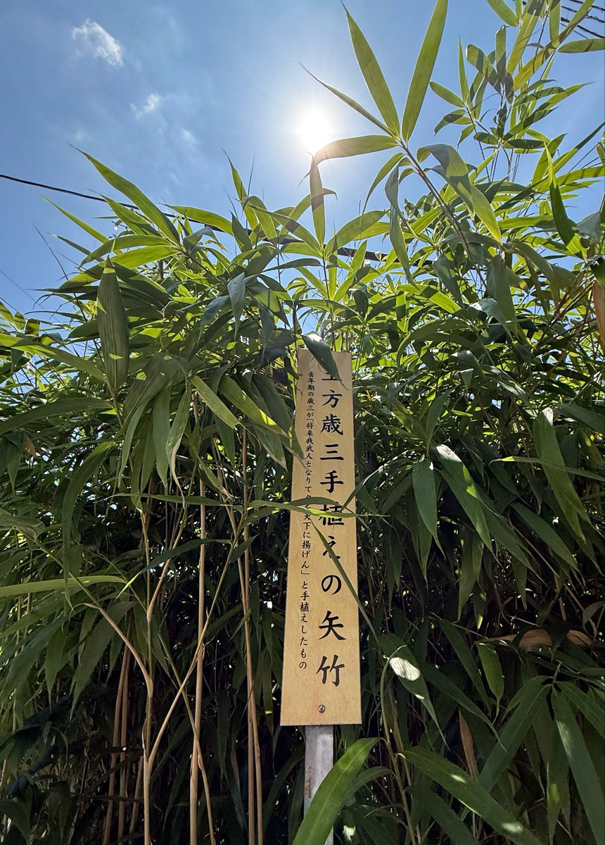 いよいよ夏到来という日差し 歳三さんが立派な武人になることを誓い