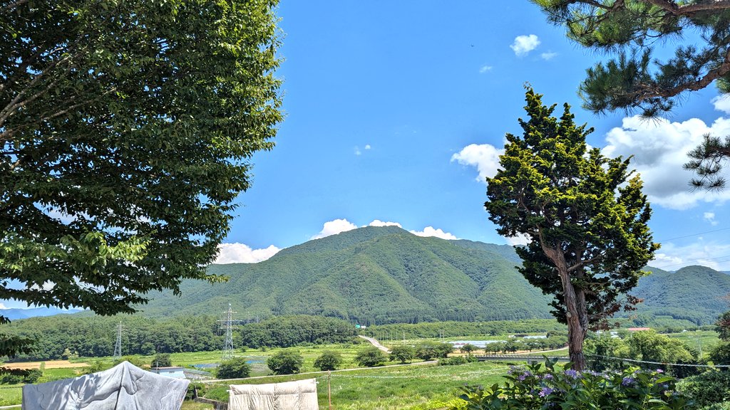 AcePAPA01's tweet photo. こんにちは😊

夏がきたぁ〜🥵
今日は風🍃もなく暑いので布団カバー洗って布団も干し夏に模様替えしています🙆
室内もムンムンしてるのでエアコンスイッチ🔛
#空ネット 
#猫のいる暮らし 
#イマソラ 
13時00分
南会津町田島町
天気☀
気温３１℃
今日も１日( ｀・∀・´)ﾉﾖﾛｼｸお願い致します。 https://t.co/ufq1v8OWrz