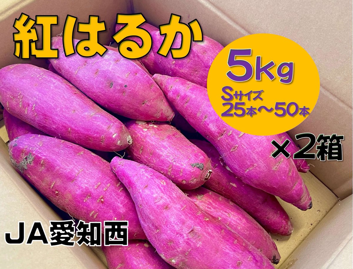 愛知県のさつまいも「紅はるか」をご紹介🍠 毎年好評のJA愛知西の「紅