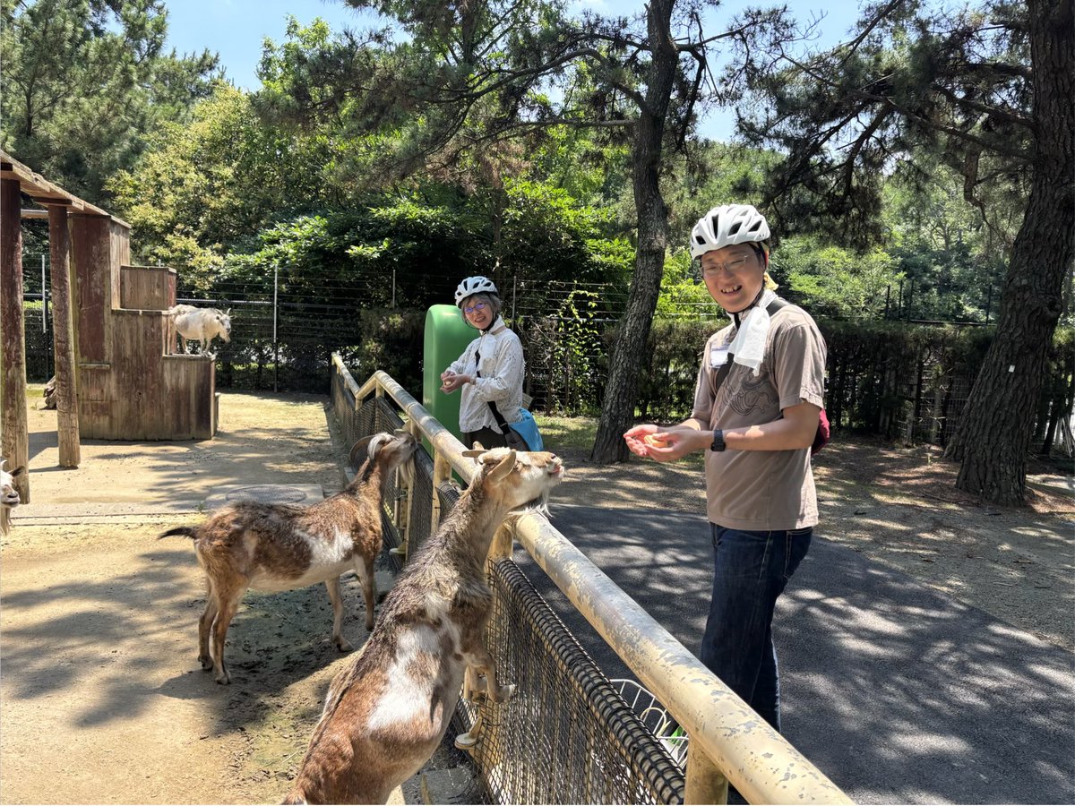 ⚠️注意⚠️ 食欲旺盛で他の仲間の分のエサまで横取りするヤギが1匹