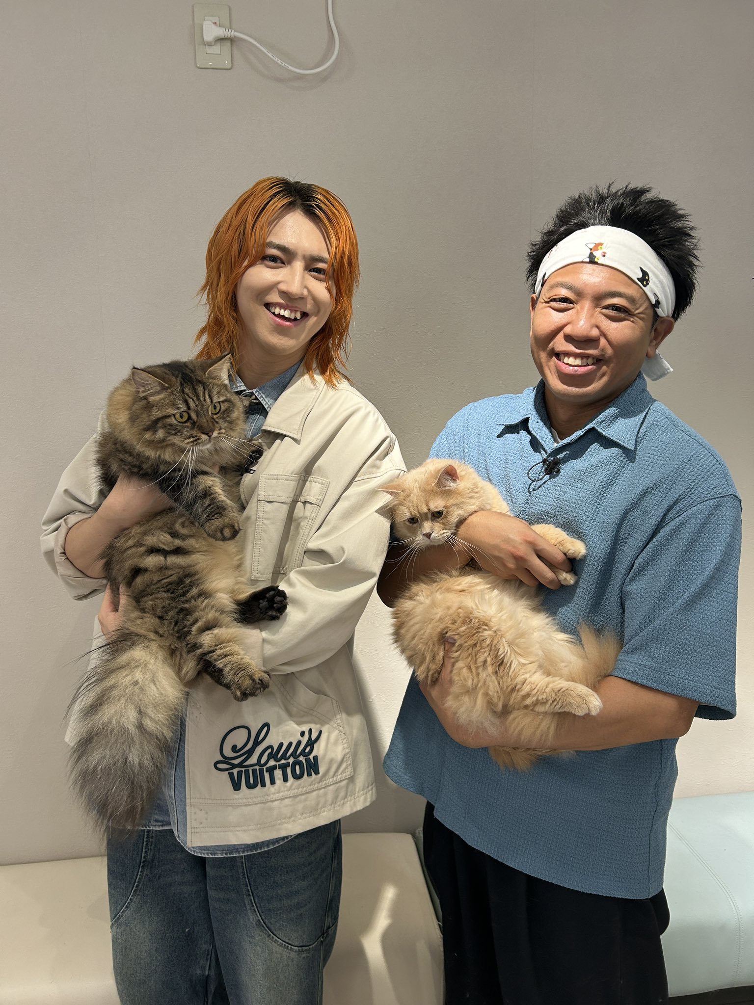 BS-TBS ねこ自慢【公式】 on X: 