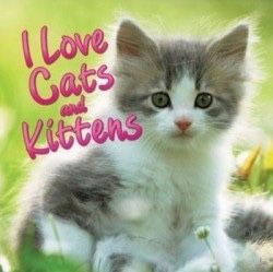 htppLIH's tweet photo. @senshi_real OII gatinho estupidozinho https://t.co/C8Ac0cYvgH