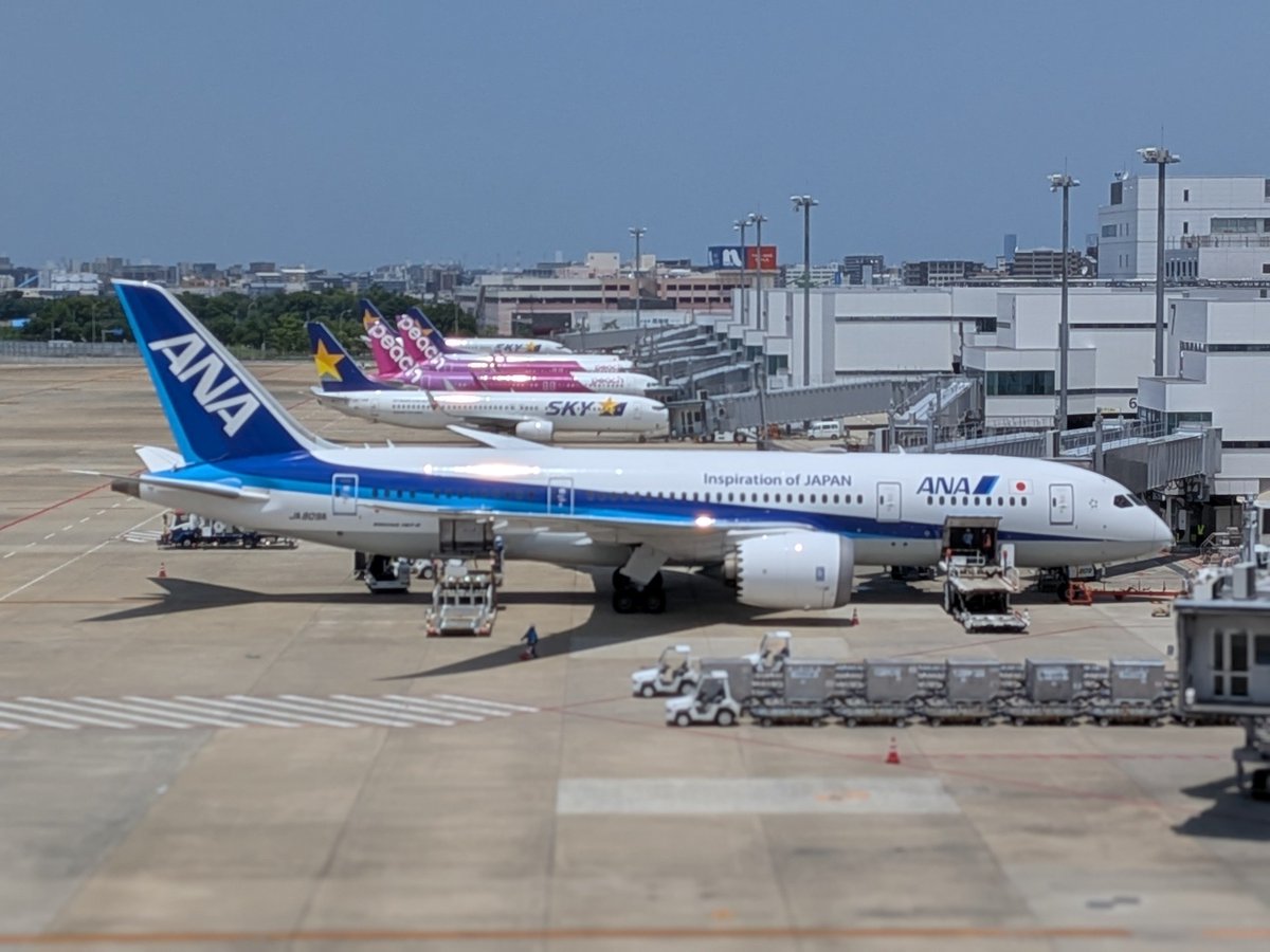 DaddyRobert7's tweet photo. これから帰ります✈️ https://t.co/I34WTJCaOO