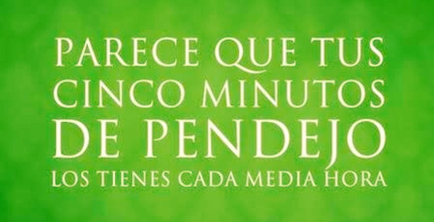 AlbertoCesarP tweet picture