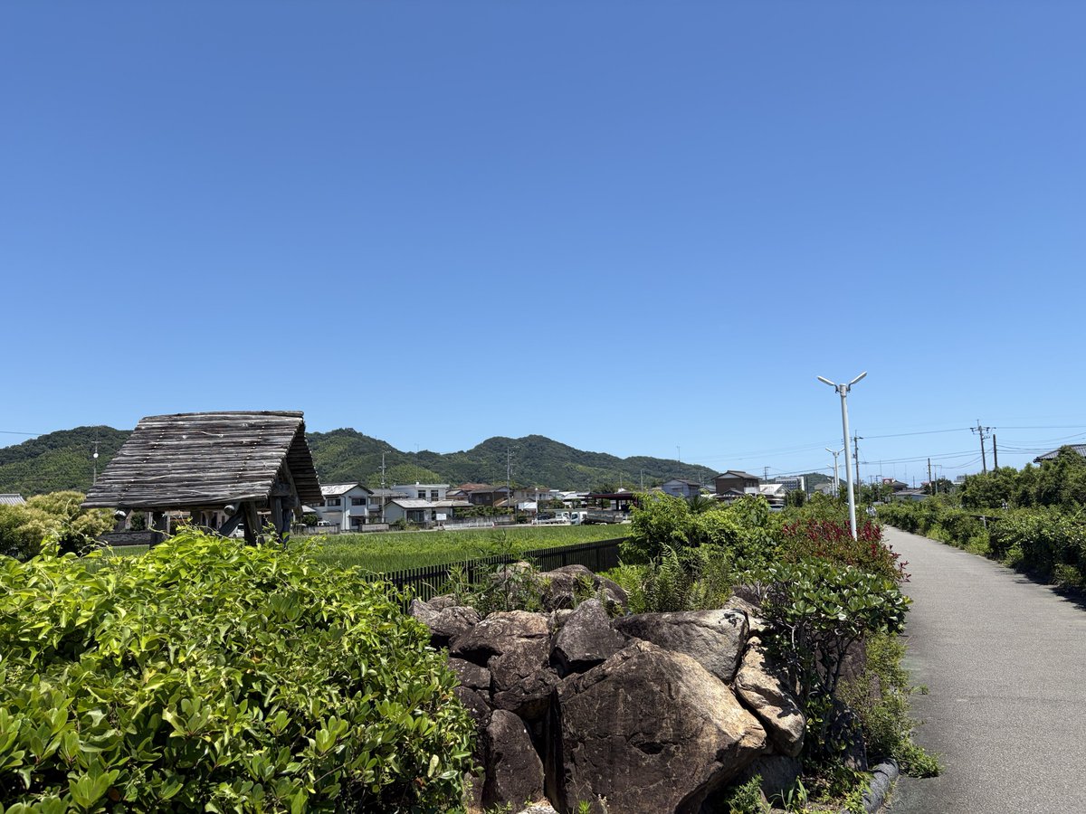 aguru_55's tweet photo. 真っ昼間にジョグ
暑いからちょっとペースを上げて走ったら3キロで脚がガクガク
久しぶりに息があがって、前歩いてる人が怪しんで？振り返ってくるので申し訳ない https://t.co/VKUjDUuSWn