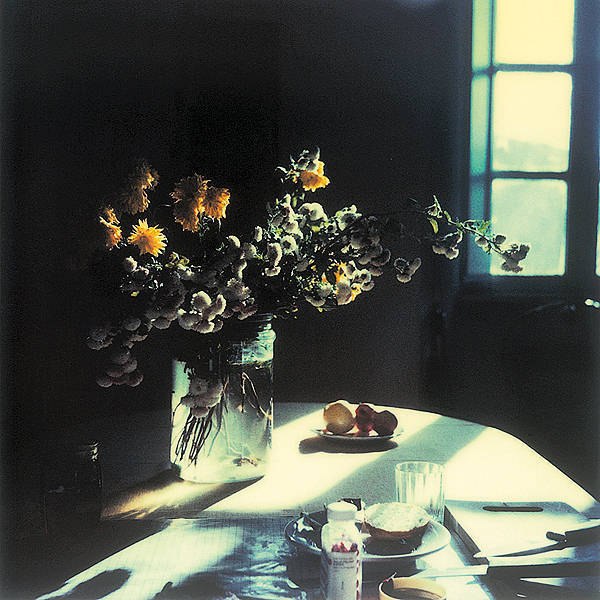 CanetCinema's tweet photo. Polaroids by Andrei Tarkovsky from the book Instant Light

"Tarkovsky often reflected on the way that time flies and this is precisely what he wanted: to stop it, even with these quick Polaroid shots. The melancholy of seeing things for the last time is the highly mysterious and poetic essence that these images leave with us. It is as though Andrei wanted to transmit his own enjoyment quickly to others. And they feel like a fond farewell."
—Tonino Guerra