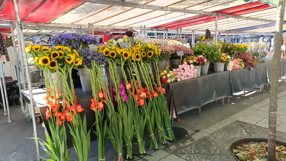 OoieR's tweet photo. 🇫🇷背の高いお花シリーズ😳
#Paris https://t.co/Mlrjf7atgT