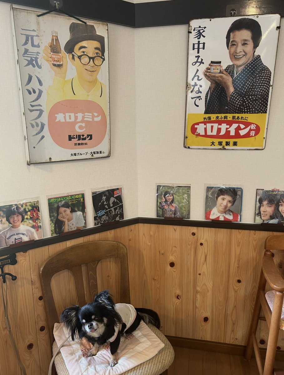 caltaro1208's tweet photo. 昭和レトロのペット宿ペルメルさんに行って来ました😆シリーも昭和の犬のよう🐶 https://t.co/QddtnvCMzp