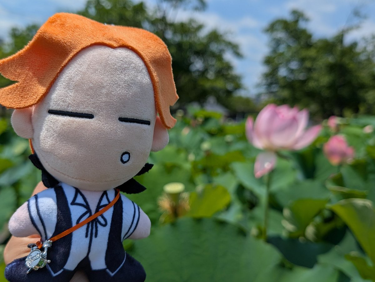 yasu_845's tweet photo. 久々に蓮池へ
#淳士くんとおでけけ https://t.co/ctkcL0kf7I