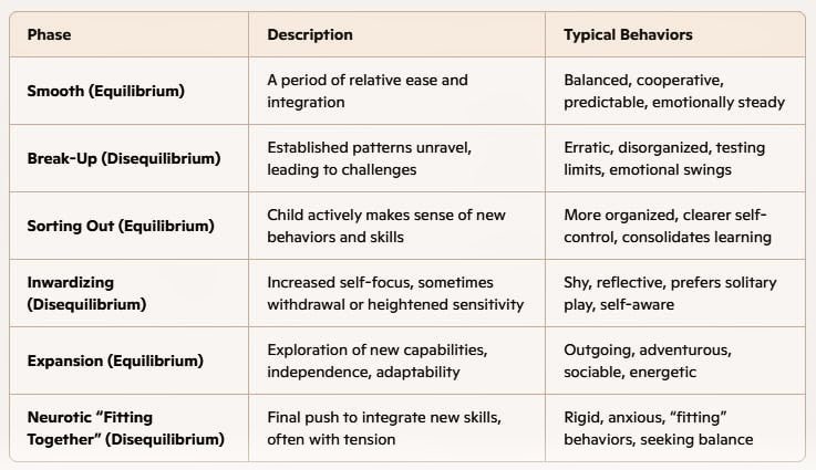 valryui's tweet photo. Arnold Lucius Gesell’s Growth Cycle in Maturation Theory 🌱 https://t.co/7HGwF24lP2