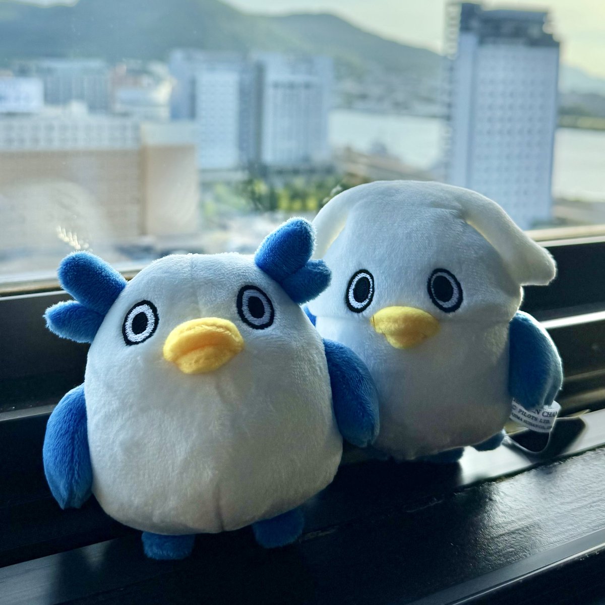 yuu_1st's tweet photo. 函館に来たので 小田島水産さんに寄ってGENちゃんのぬいぐるみを購入！
普通の子もイカもかわいいー！ https://t.co/XNckRj1Q4Y