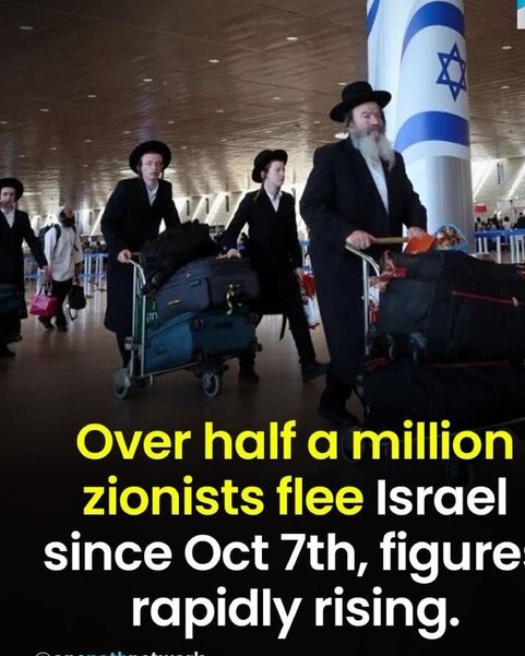 sinagresion's tweet photo. te fuiste mojón alcantarilla 
olor  
de corrupción
reino de Israel de rey leon https://t.co/eqoqa5KpXB