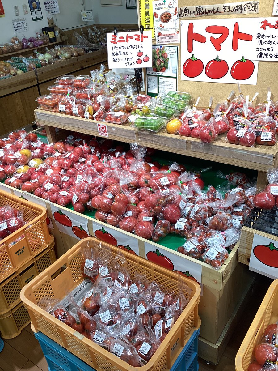 jibamonyasouhon's tweet photo. 助けてください🙏🙏🙏
トマト🍅きゅうり🥒茄子🍆豊作につき、大量入荷中です！

今日の富山市内も太陽ギラギラ☀️暑ーい1日ですね🥵
みんなで夏野菜を食べてひんやりしよう🧊

本日もお待ちしております🙇🏻‍♂️ https://t.co/Bc3KNQn12K