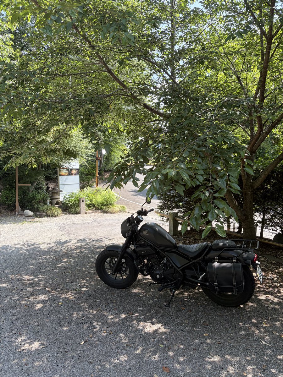 ParmF91's tweet photo. 晴天☀️今日もお寺へGO￼🏍️お庭が綺麗に整備されてて、見所たくさんのお寺でした✨3体の仏像が三賢者みたいで、カッコエエ🪬＃レブル250 ＃バイク ＃福増寺 ＃寺 https://t.co/1Nnx9iO7nu