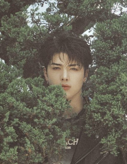 eryxikiru's tweet photo. bro thinks hes him https://t.co/DjTqW9OX1r