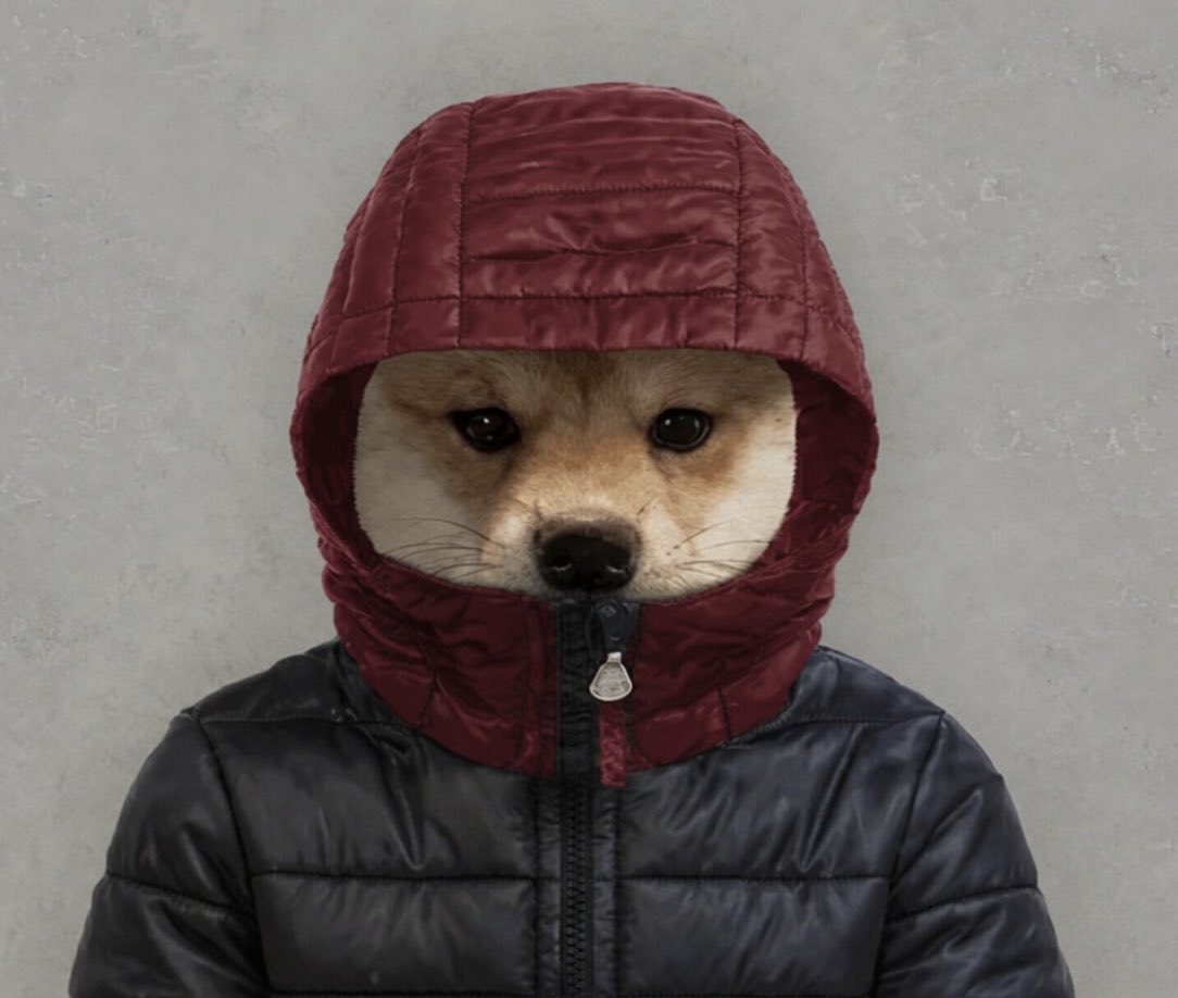makeit2030's tweet photo. @HOODto1BILLION @dogwifhoodX solana:D2XvLipYuPFgJ42kB6U4ihmHENStT7h2BS2iN5NtzZKg https://t.co/3NSghucsQI
