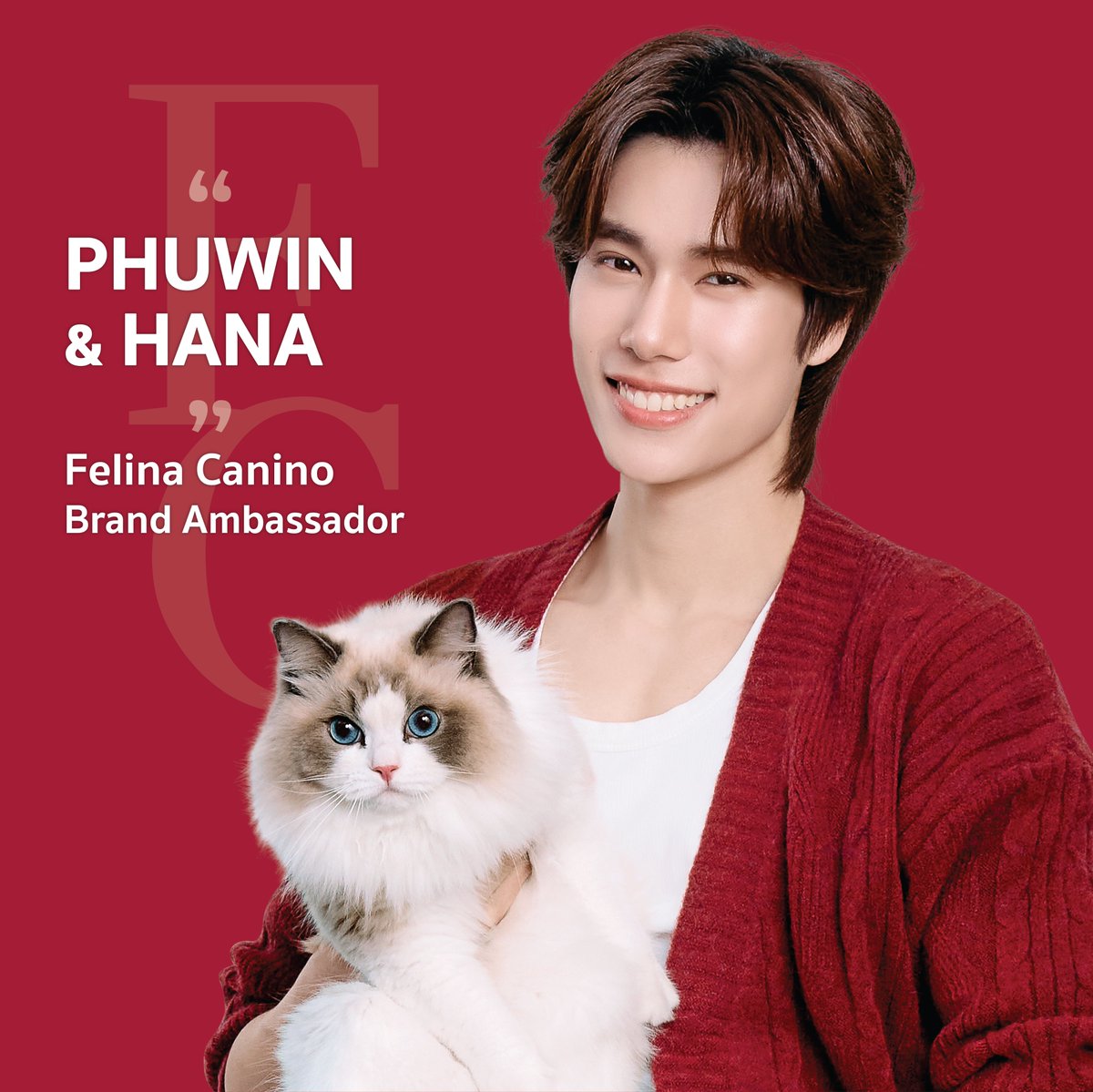 FelinaCaninoTH's tweet photo. ทุกความสัมพันธ์ที่ดี... เริ่มต้นจากความใส่ใจ ❤️

ยินดีต้อนรับภูวินทร์ และ น้องฮานะ สู่ครอบครัว Felina Canino 🐾

ร่วมออกเดินทางไปกับอาหารเปียกที่โดดเด่นด้วย เนื้อแท้เต็มชิ้น คัดสรรคุณภาพ พร้อมเติมเต็มความสุขในทุกมื้อของสัตว์เลี้ยงที่คุณรัก 
#เฟลินาคานิโน
@phuwintang #phuwintang https://t.co/m5yKn01q3n