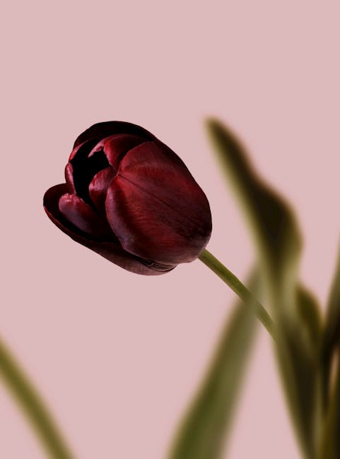 MarniParolini's tweet photo. أنا هذا المقال أحب الأفكار شكرًا تبسيط المعقدة. معرفتك كنز. لك. mollie wemple https://t.co/zSjXCmhyWF