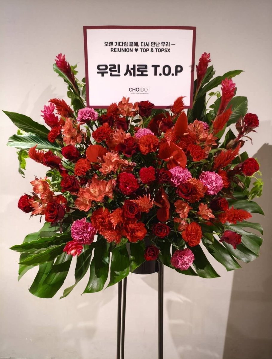 choidot's tweet photo. 260709 T.O.P 𝗝𝗔𝗣𝗔𝗡 𝗙𝗔𝗡𝗠𝗘𝗘𝗧𝗜𝗡𝗚 𝟮𝟬𝟮𝟲 - 𝗥𝗘:𝗨𝗡𝗜𝗢𝗡(再会) 

토뿌상❤️ TOPSXJAPAN  오히사시부리데쓰 💜 

#탑 #최승현 #CHOISEUNGHYUN #TOPSPOT https://t.co/UAQEq7Ex5C