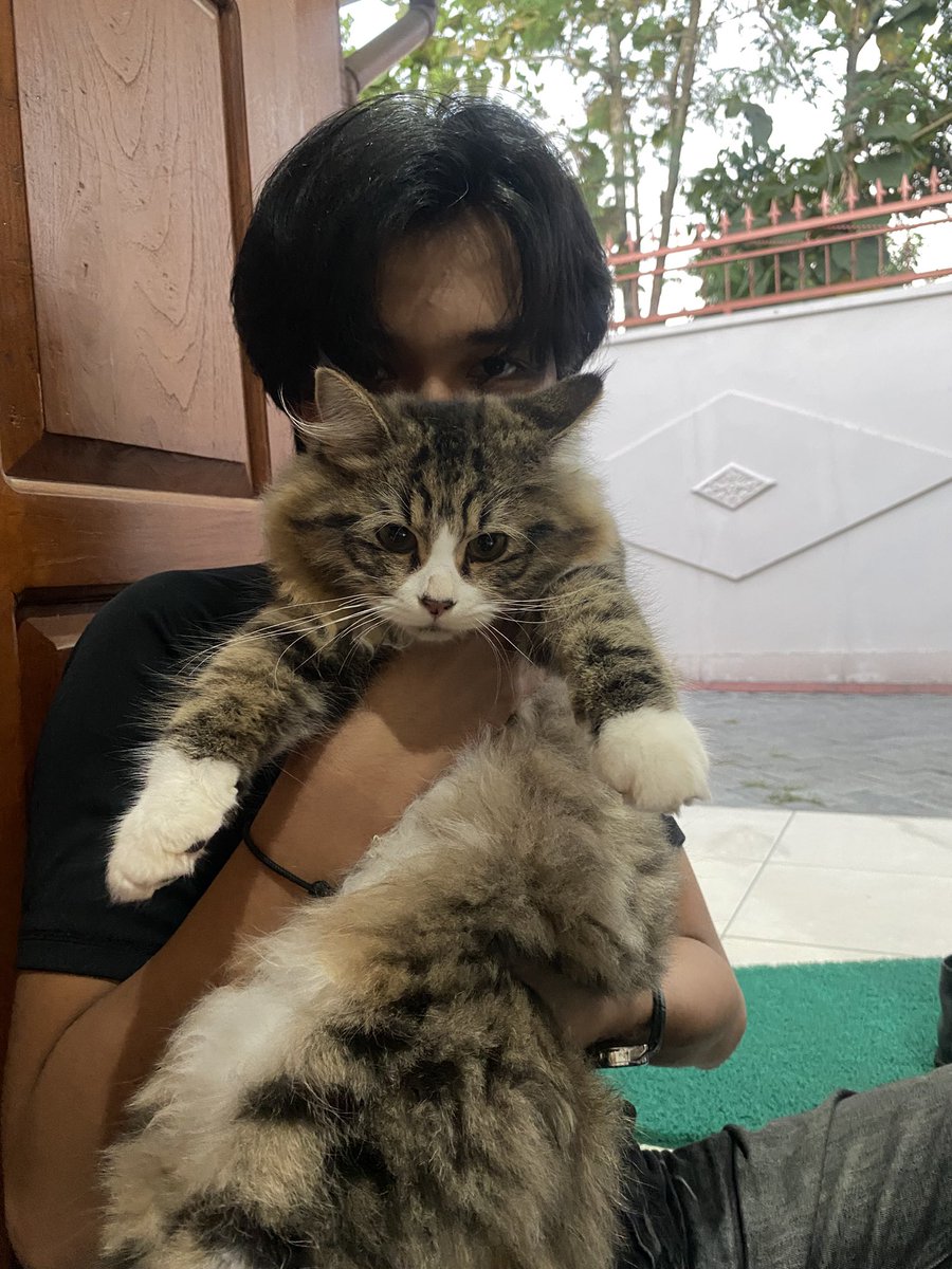 nasigorengpabo's tweet photo. Makin gendut aja kucing gw yg cuma anteng klo sama cowo gw https://t.co/WbuHFhQip3