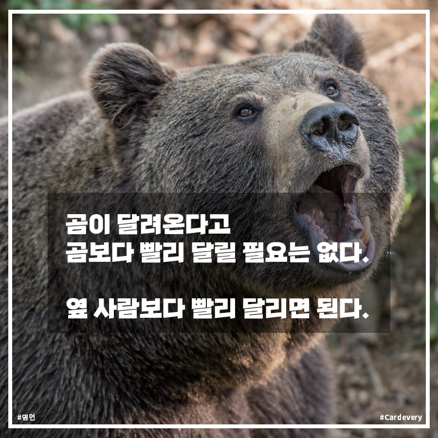 khlee7489's tweet photo. 민주당 전당대회 딩대표 선출 방식도 이와 같아야지.

쉽지? 그럼 그게 맞아. https://t.co/q8ADgX8wly