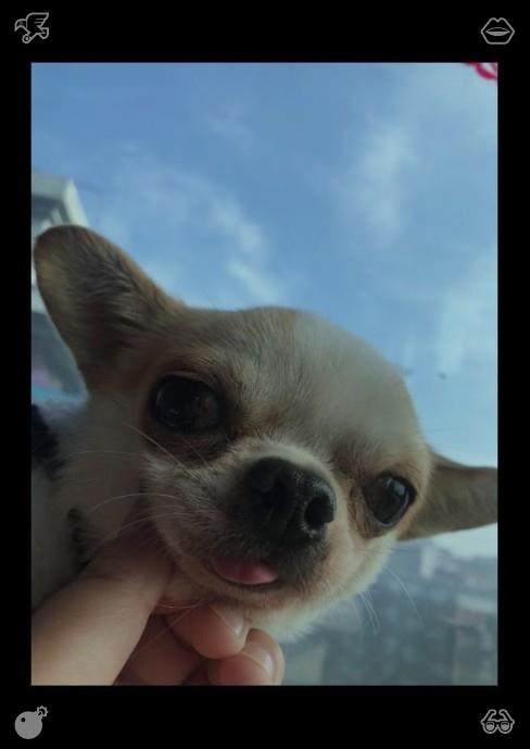 NasrMomo's tweet photo. Cheese sandwich Cheesy, snack790903I walk to the bus stop, and the bus arrives promptly. I board and find a window seat. I take out my phone to scroll through photos, smiling at a picture of me and my cat. It is a happy memory that I cherish. https://t.co/r28U9kK9dU