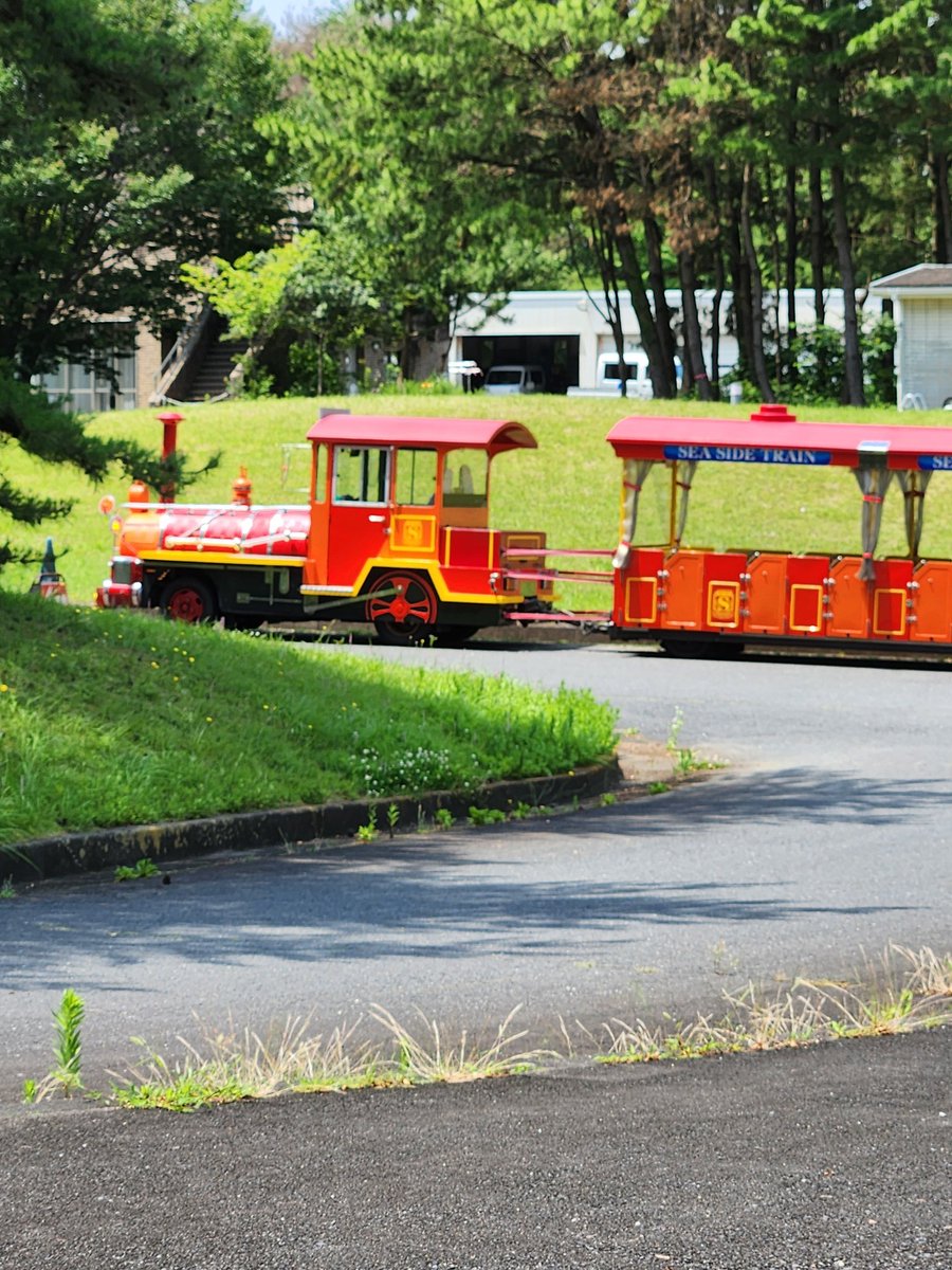 N24515's tweet photo. オッサンのリハビリ
掛水をしてからのスタート
暑さでヘロヘロ
涼しい樹林エリアに入りたいなぁ
膝カックンのオンパレード
今日は駄目だなぁ
頑張れオッサン✊‼ https://t.co/dp56raCiFF