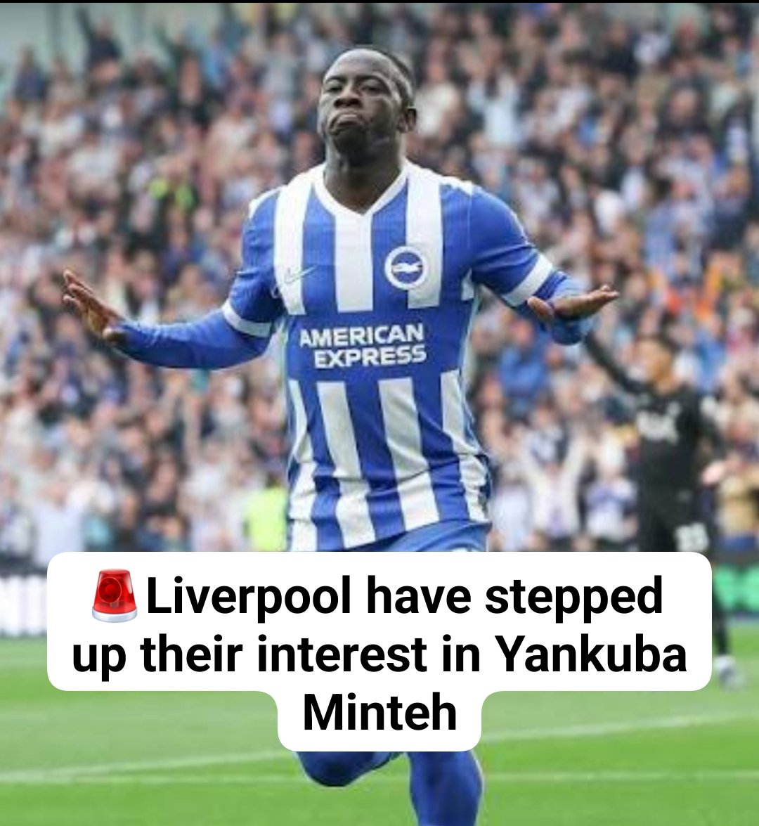 Brighton Albion Fans tweet media