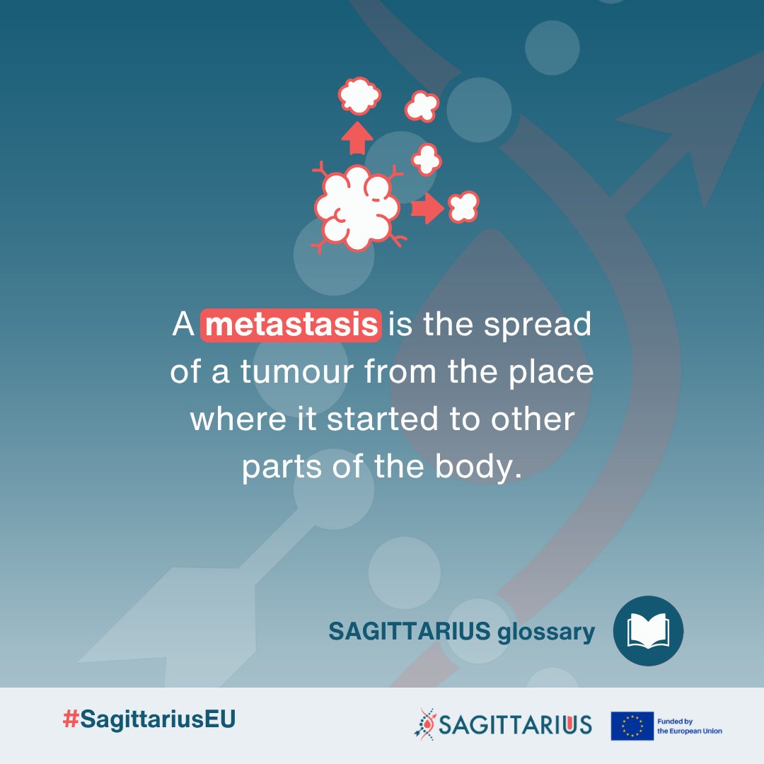 Sagittarius EU Project tweet media