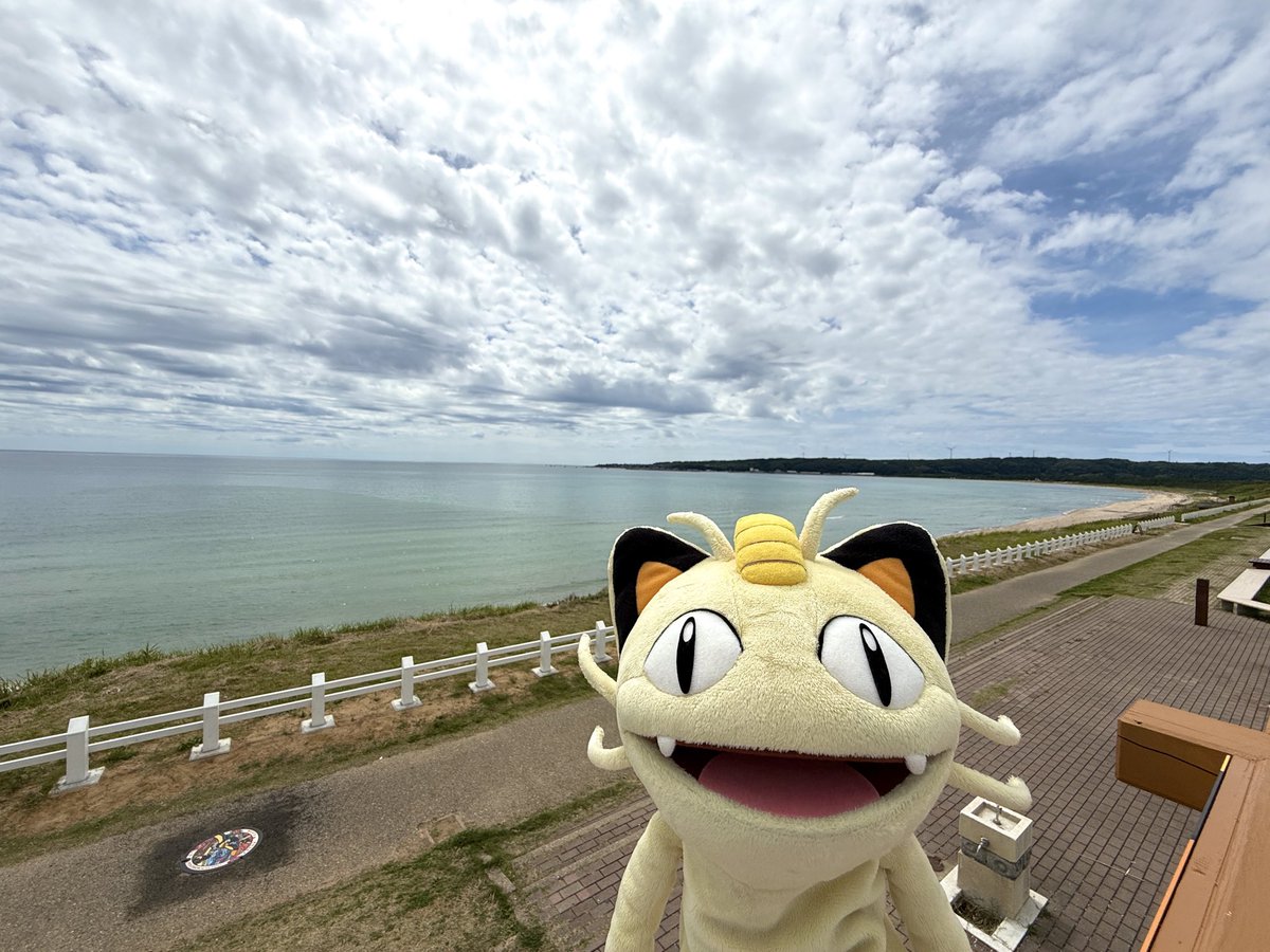 Post by ポケモンだいすきクラブ編集部【公式】 on X: 😸