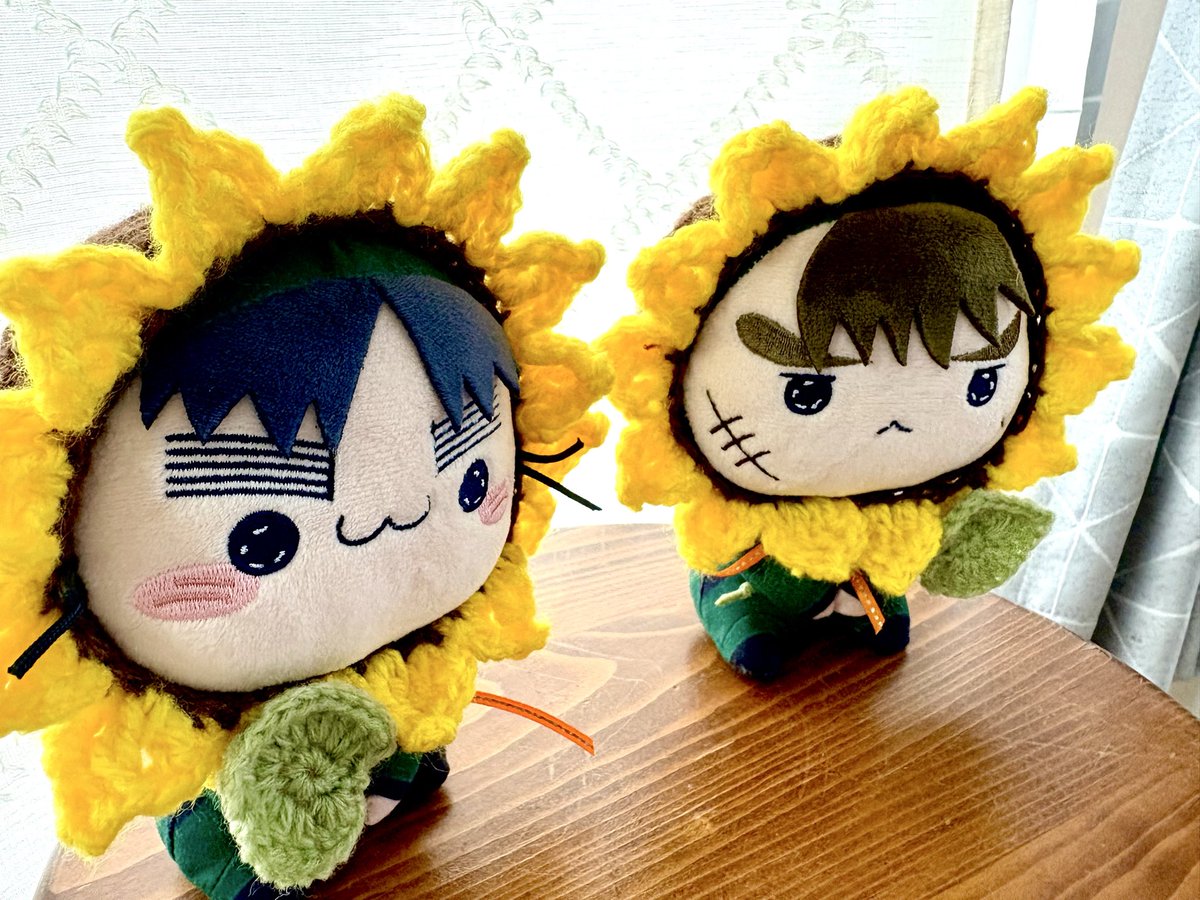 SOU05yr's tweet photo. 暑くなってきたので、ひまわりの被り物を編みました🌻ライオンにも見えなくもない。獅子…
#rkrnぬい撮り部 https://t.co/EyXRH81Gtl