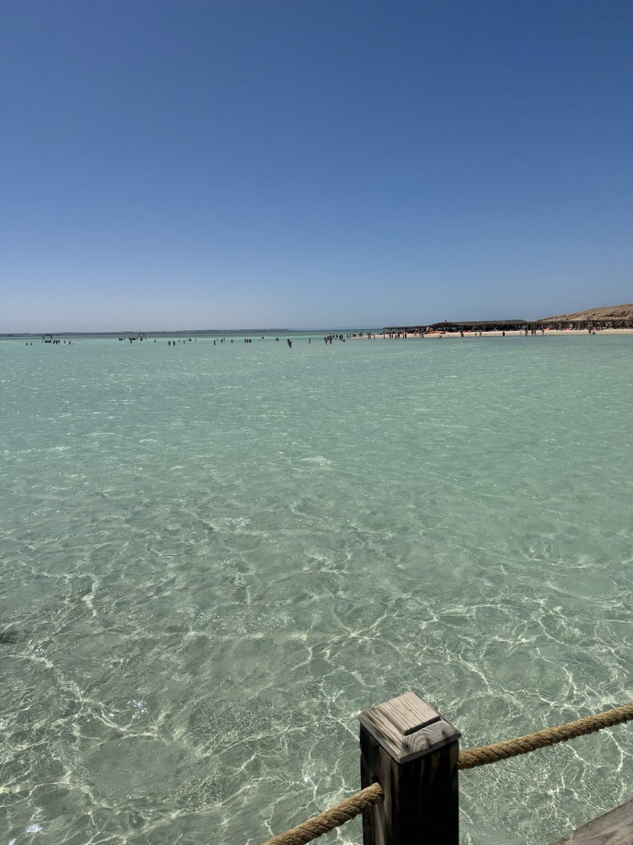 ThumoseIII's tweet photo. @Soniahaddad16 صباح الجمال والسعاده من البحر الأحمر https://t.co/3UMq8qYybj