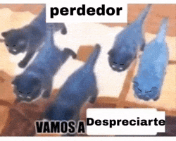 SoyUn55779's tweet photo. @GonzaloFajb9tq @Quesadacid jaja te descansaron en las respuestas https://t.co/PVAKOmVdzT