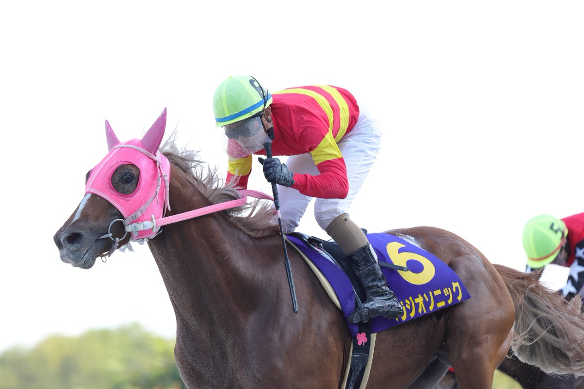 JBC競走 (@JBC_HorseRacing) / Posts / X